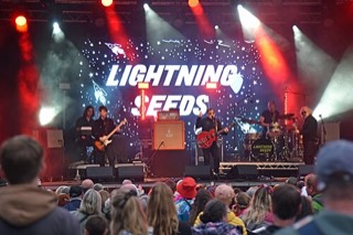 Lightning Seeds